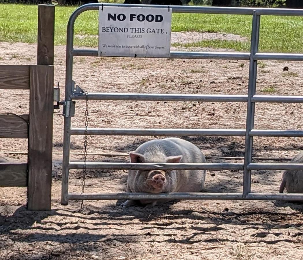 Rooterville Animal Sanctuary Melrose Eksteriør bilde