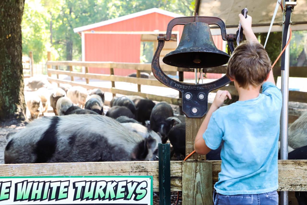 Rooterville Animal Sanctuary Melrose Eksteriør bilde